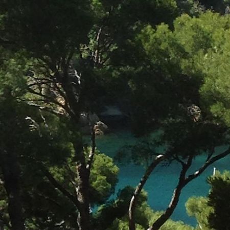 Les Terrasses Des Anthenors Bed & Breakfast Ensues-la-Redonne Luaran gambar