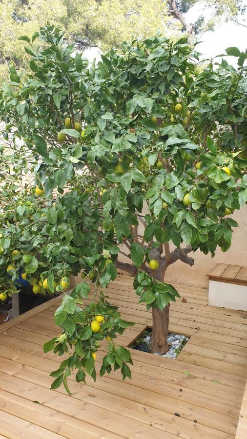 Les Terrasses Des Anthenors Bed & Breakfast Ensues-la-Redonne Luaran gambar