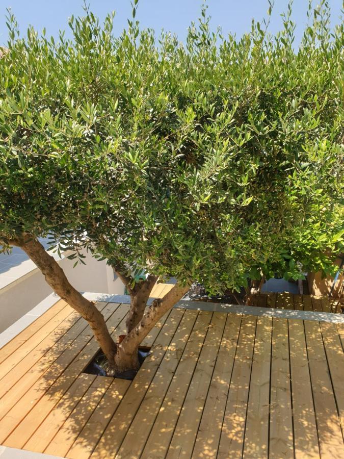 Les Terrasses Des Anthenors Bed & Breakfast Ensues-la-Redonne Luaran gambar